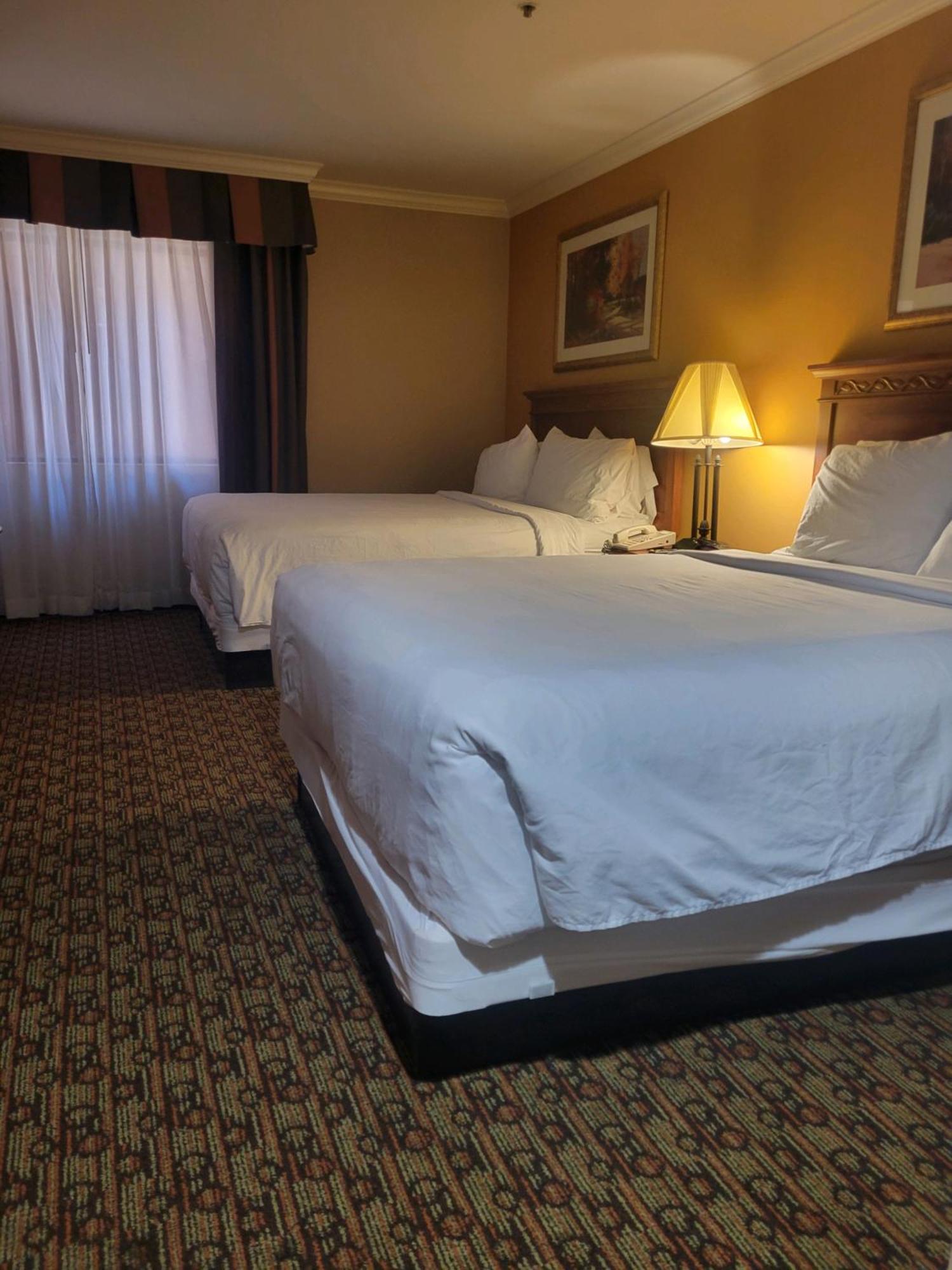 Hotel Xola 莫雷诺谷 外观 照片